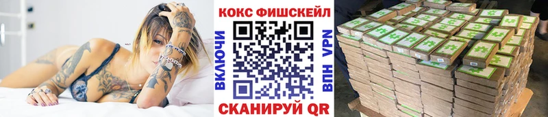 COCAIN FishScale  магазин продажи наркотиков  Олёкминск 