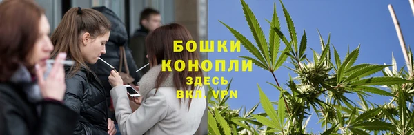 прущая мука Вяземский