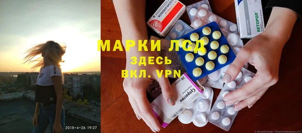прущая мука Вяземский