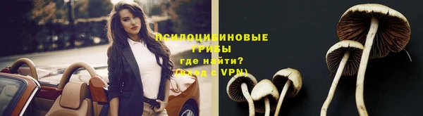 спиды Тавда