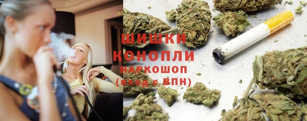 прущая мука Вяземский